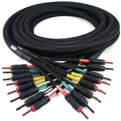 Studio Speaker 4x4 Mogami kabel głośnikowy Bayonet