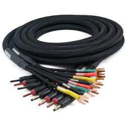Studio Speaker 4x4 Mogami speaker cable Bayonet-Spades