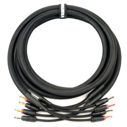 Studio Speaker 2x4 Mogami speaker cable Bayonet