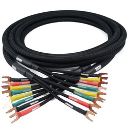 Studio Speaker 4x4 Mogami speaker cable Spades